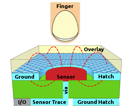 Projected Self Capacitance Sections